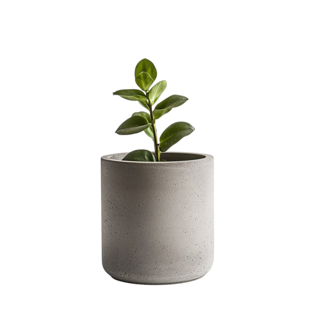 Oimwn Modern Planter Pot - Durable Concrete-Texture Decorative Flower Pot with Drainage for Indoor Plants, Succulents & Home Decor - Matte Grey